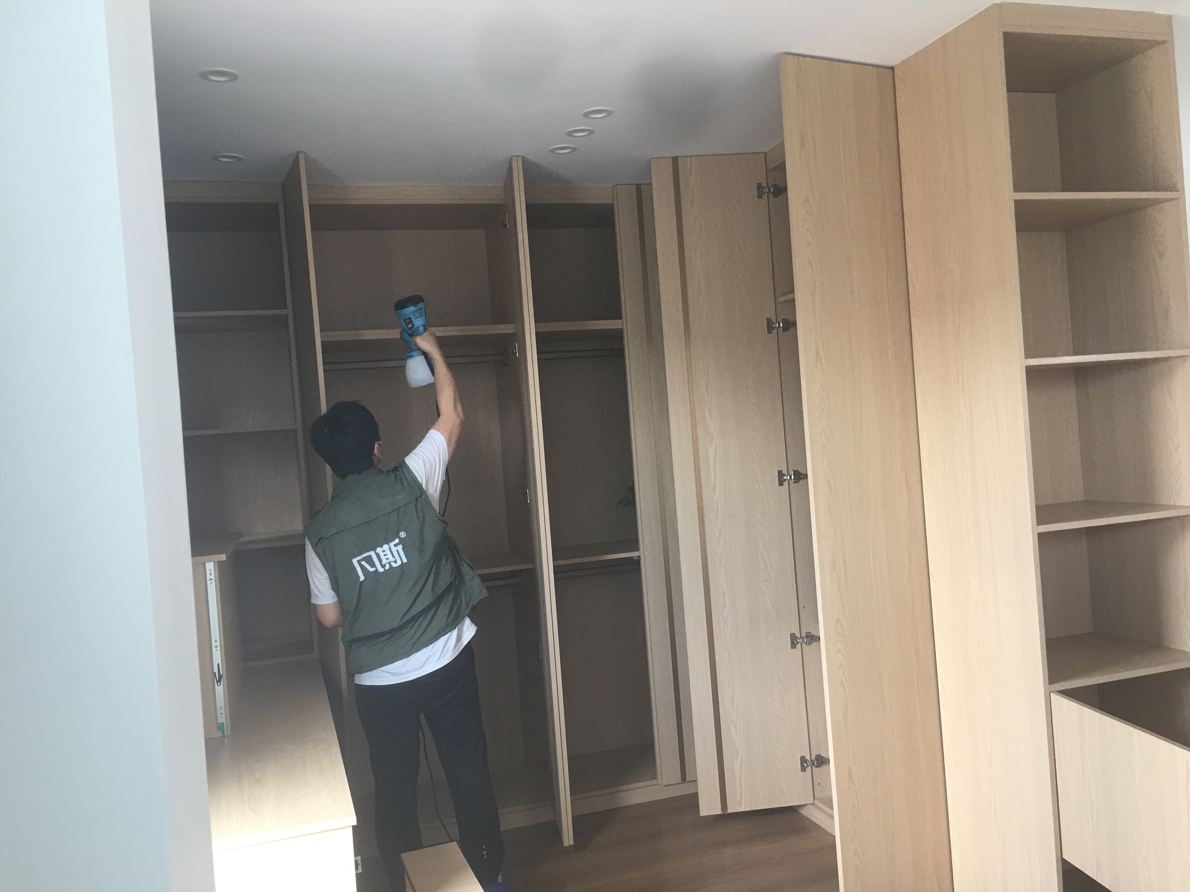 植物除甲醛有效嗎